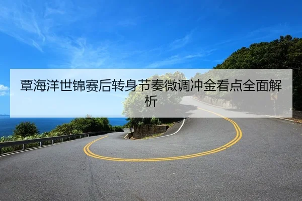 覃海洋世锦赛后转身节奏微调冲金看点全面解析