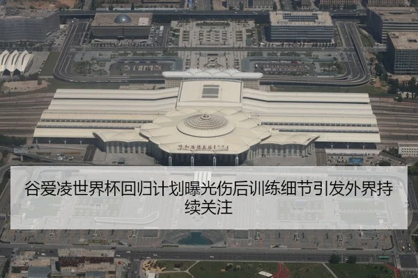 谷爱凌世界杯回归计划曝光伤后训练细节引发外界持续关注